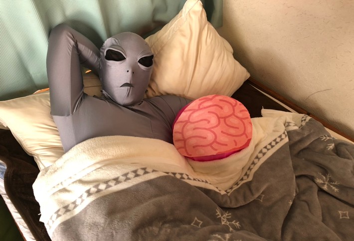 夜は一緒に眠りましょう。
