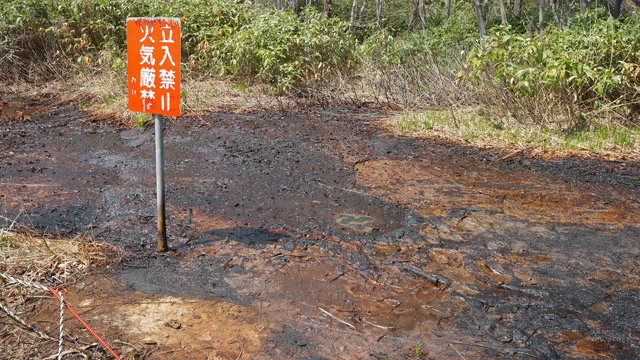 この油田、岡田さんの所有地の近くかもしれない。